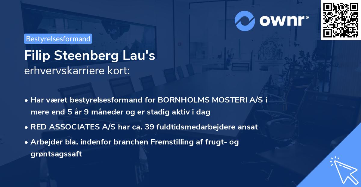 Filip Steenberg Lau's erhvervskarriere kort