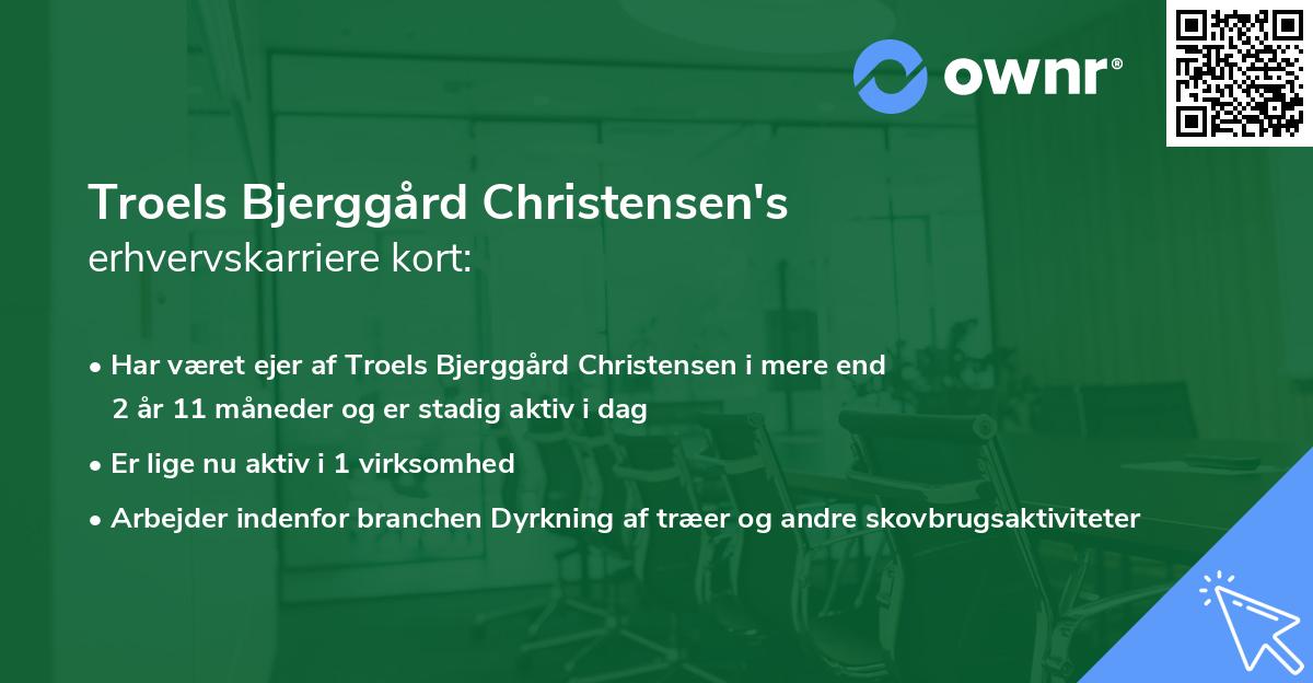 Troels Bjerggård Christensen's erhvervskarriere kort