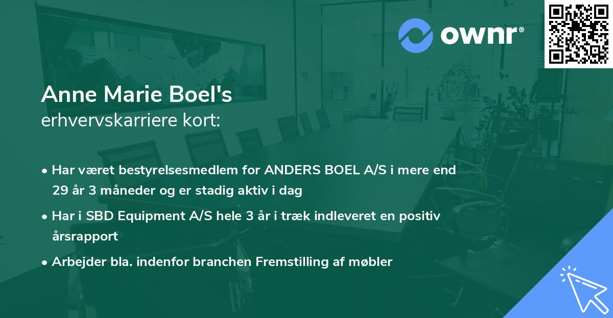 Anne Marie Boel's erhvervskarriere kort