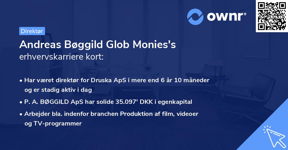 Andreas Bøggild Glob Monies's erhvervskarriere kort
