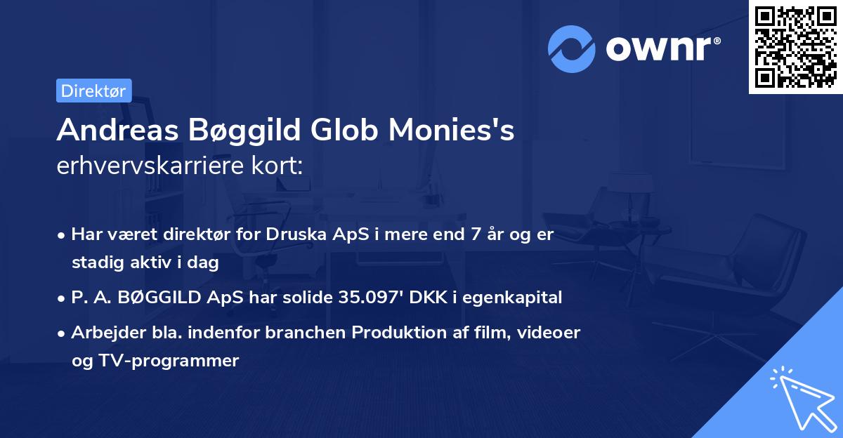Andreas Bøggild Glob Monies's erhvervskarriere kort