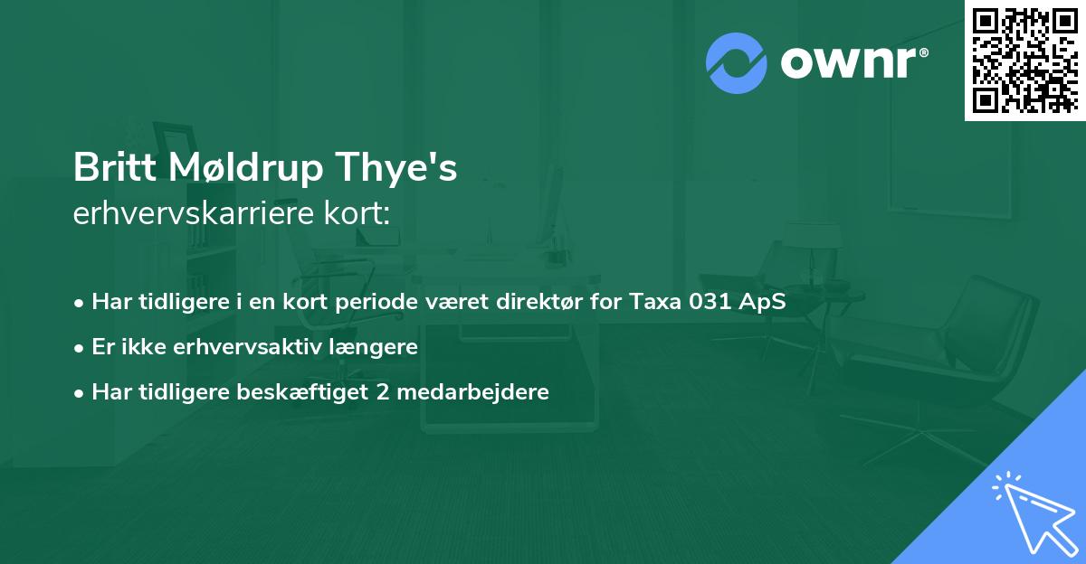 Britt Møldrup Thye's erhvervskarriere kort