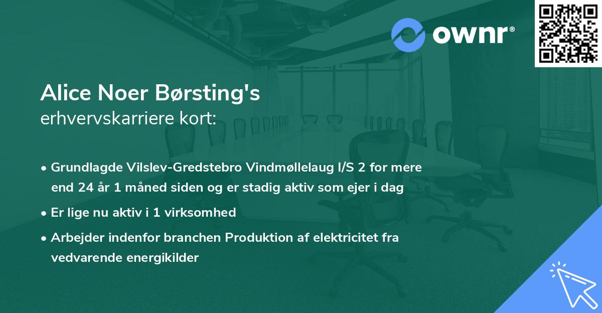 Alice Noer Børsting's erhvervskarriere kort