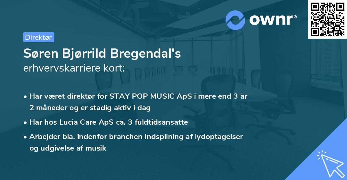Søren Bjørrild Bregendal's erhvervskarriere kort