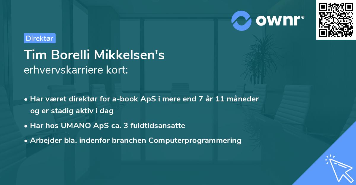 Tim Borelli Mikkelsen's erhvervskarriere kort