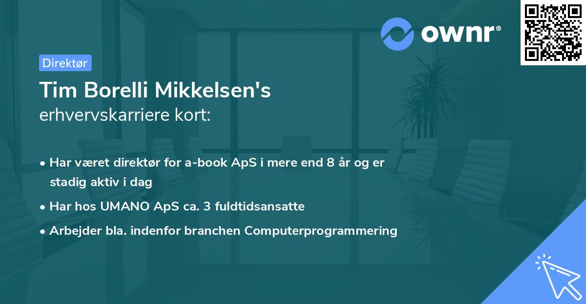 Tim Borelli Mikkelsen's erhvervskarriere kort