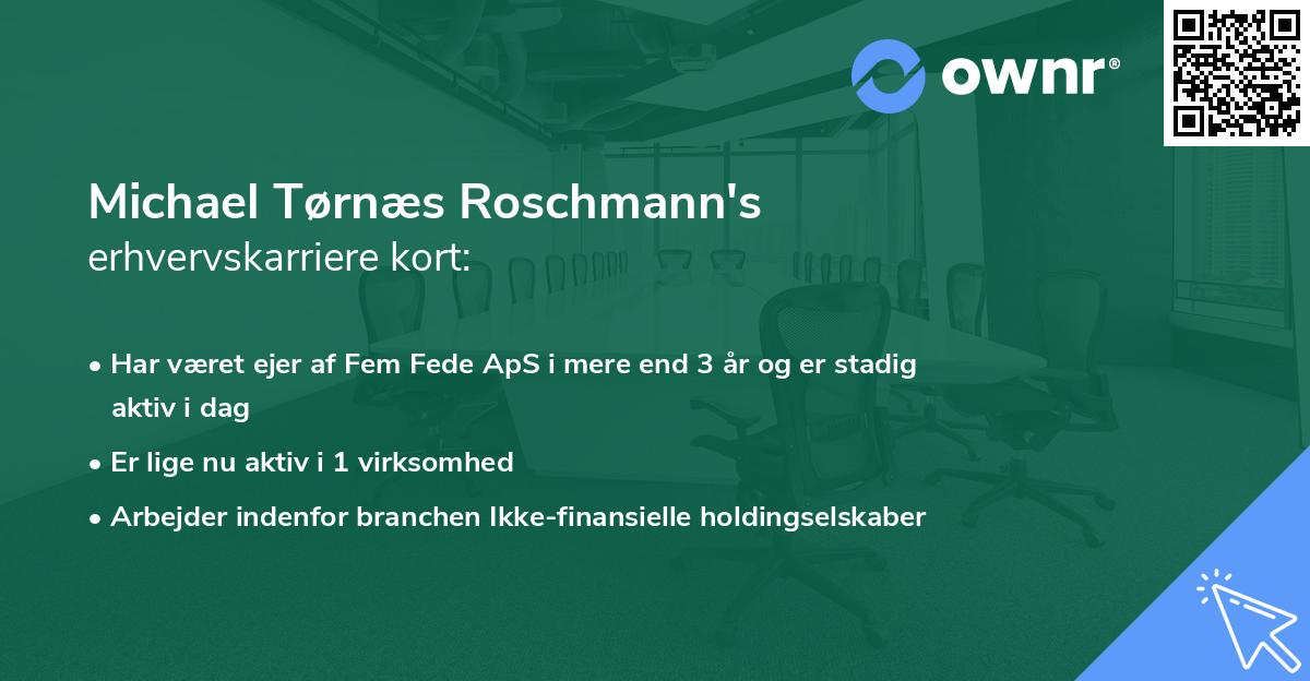 Michael Tørnæs Roschmann's erhvervskarriere kort