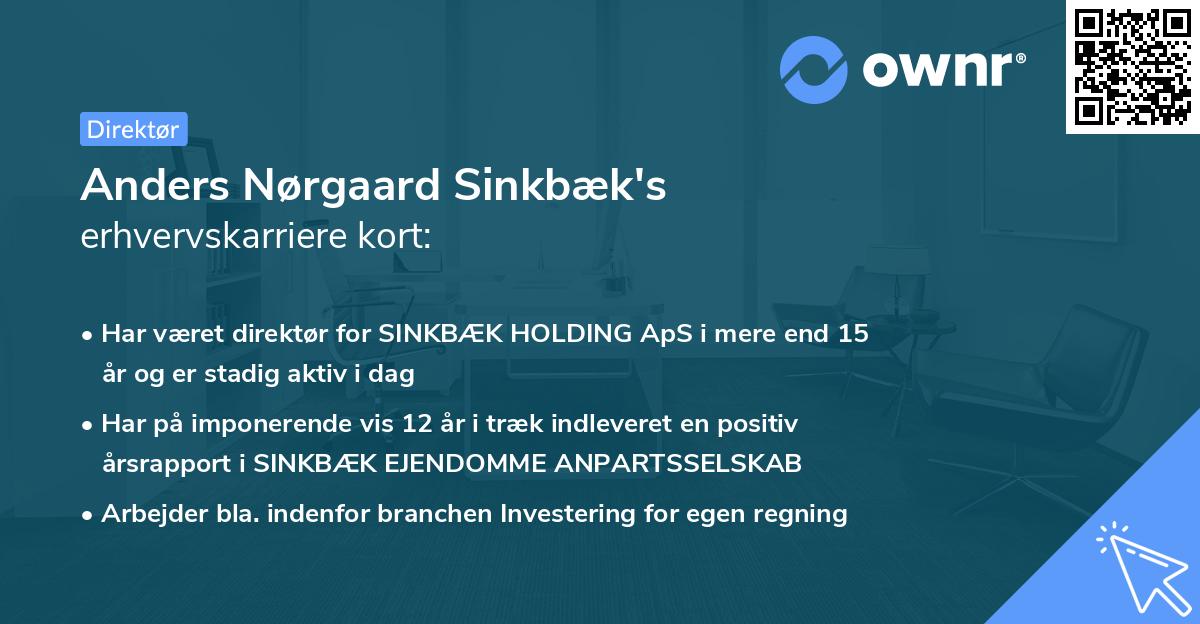 Anders Nørgaard Sinkbæk's erhvervskarriere kort