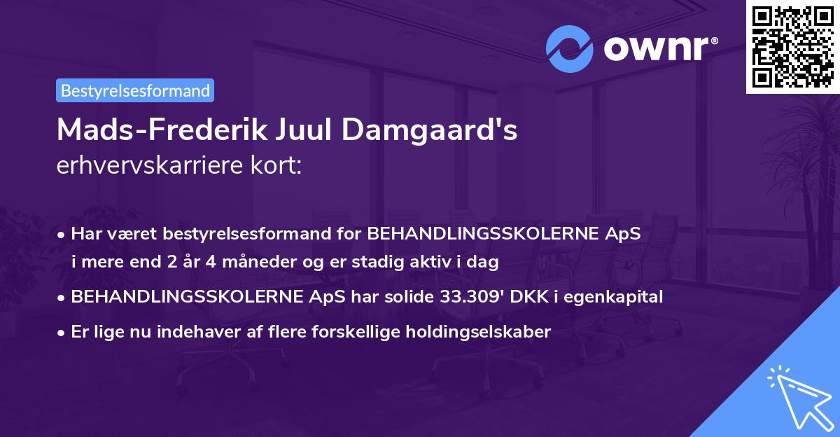 Mads-Frederik Juul Damgaard's erhvervskarriere kort