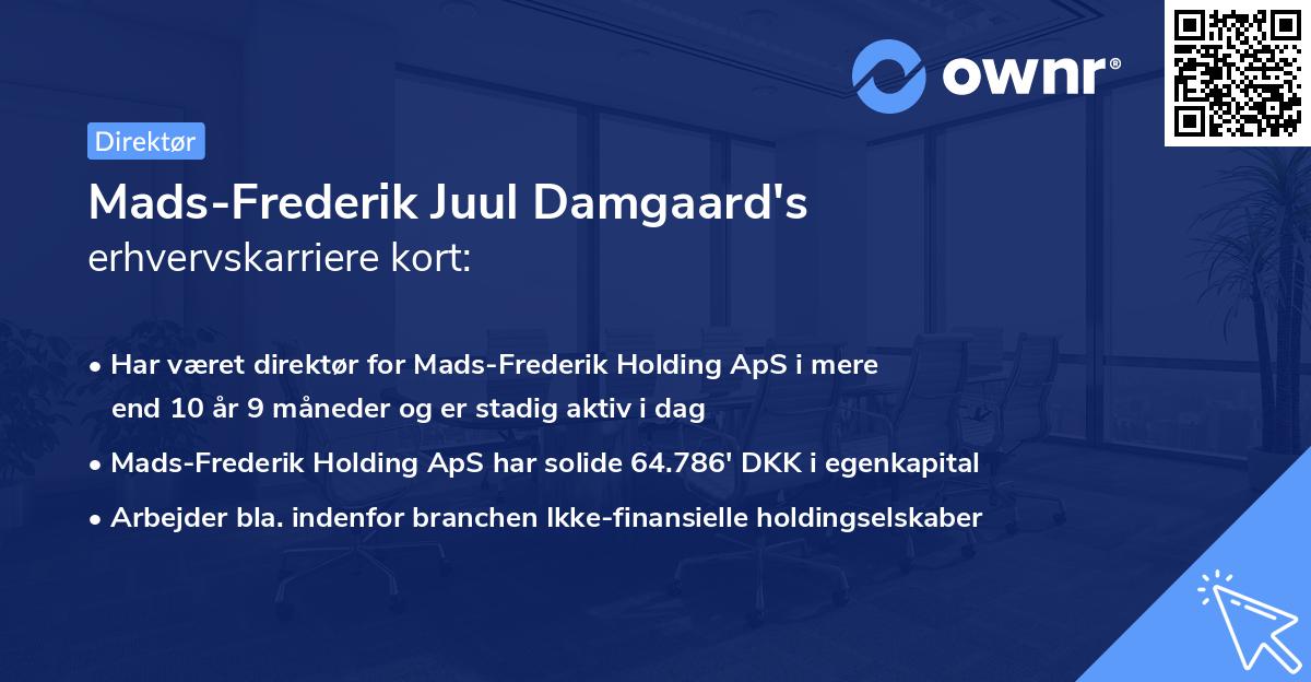 Mads-Frederik Juul Damgaard's erhvervskarriere kort