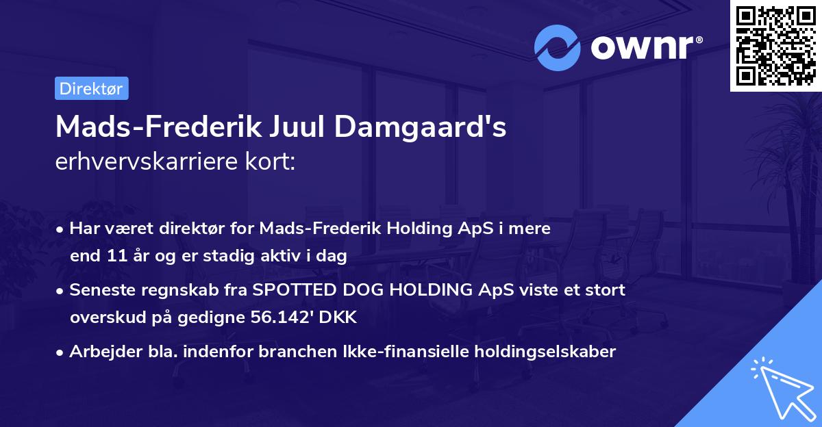 Mads-Frederik Juul Damgaard's erhvervskarriere kort