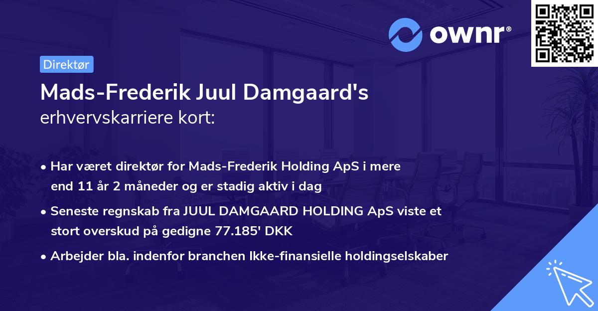 Mads-Frederik Juul Damgaard's erhvervskarriere kort
