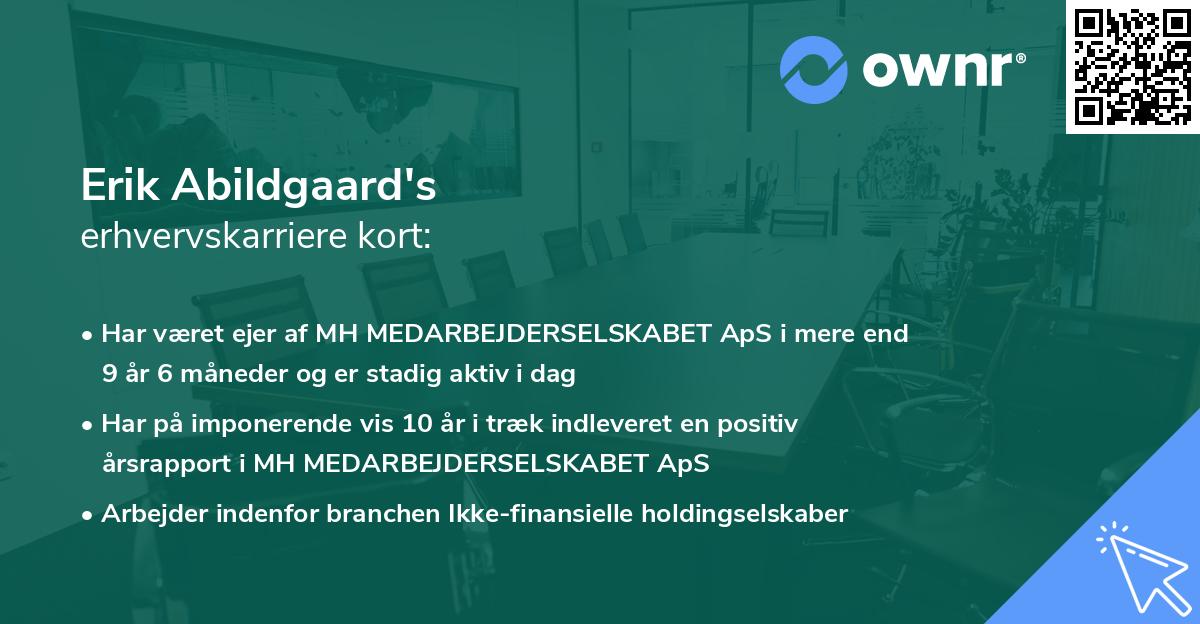 Erik Abildgaard's erhvervskarriere kort