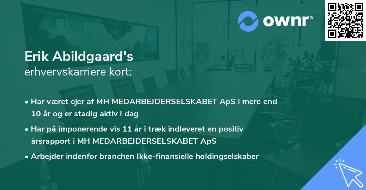 Erik Abildgaard's erhvervskarriere kort
