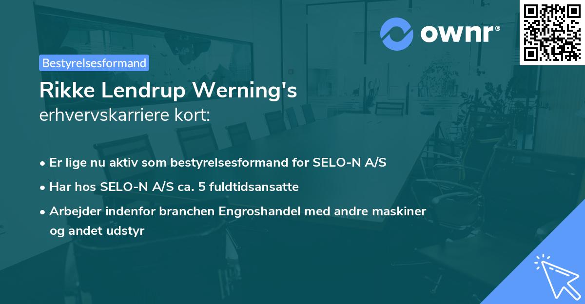 Rikke Lendrup Werning's erhvervskarriere kort