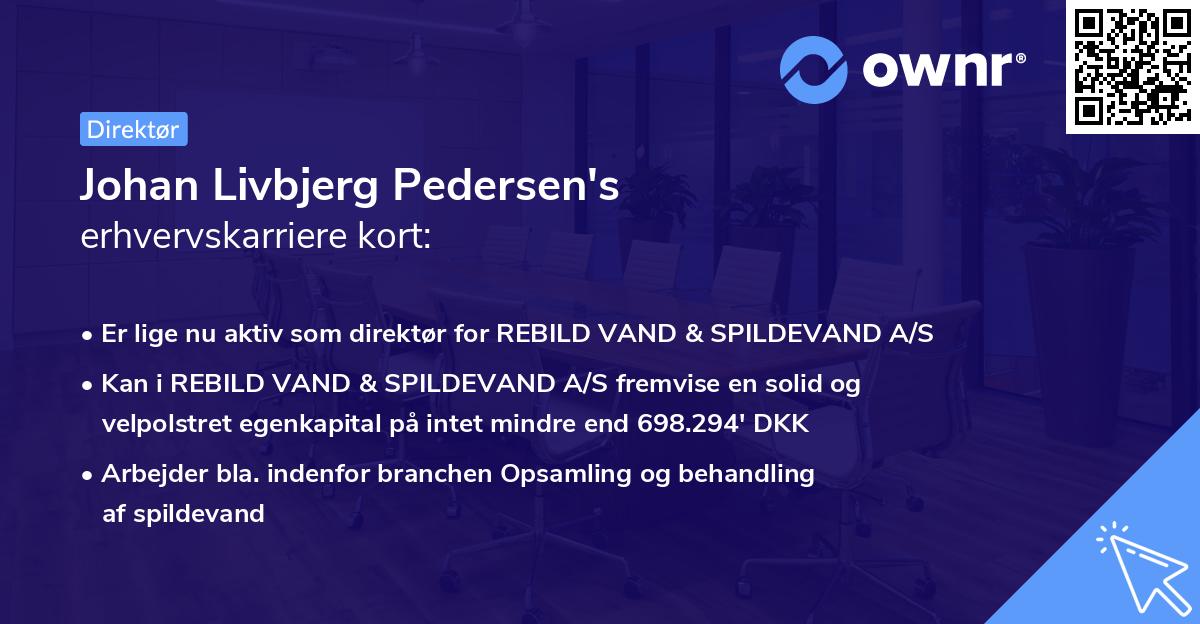 Johan Livbjerg Pedersen's erhvervskarriere kort