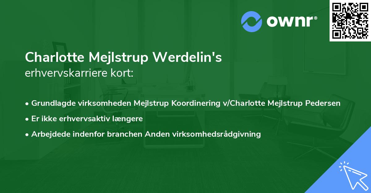 Charlotte Mejlstrup Werdelin's erhvervskarriere kort