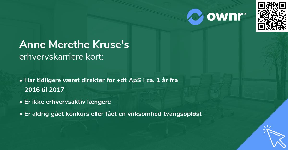 Anne Merethe Kruse's erhvervskarriere kort
