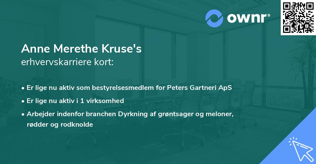 Anne Merethe Kruse's erhvervskarriere kort