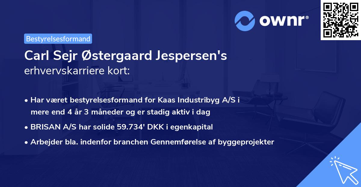 Carl Sejr Østergaard Jespersen's erhvervskarriere kort