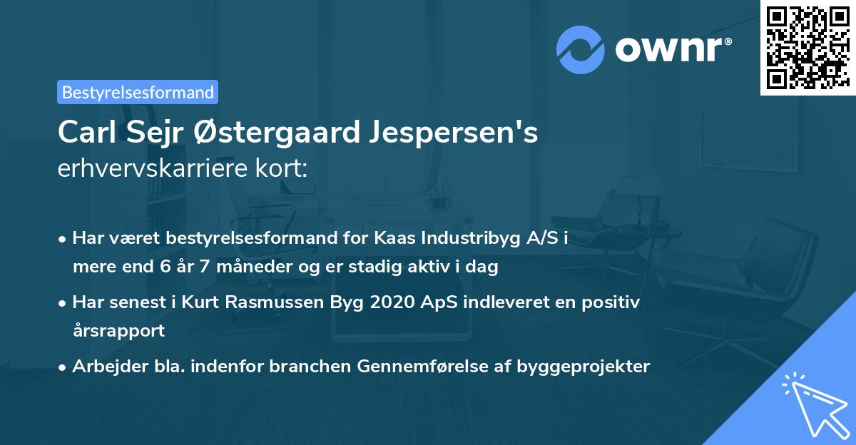 Carl Sejr Østergaard Jespersen's erhvervskarriere kort
