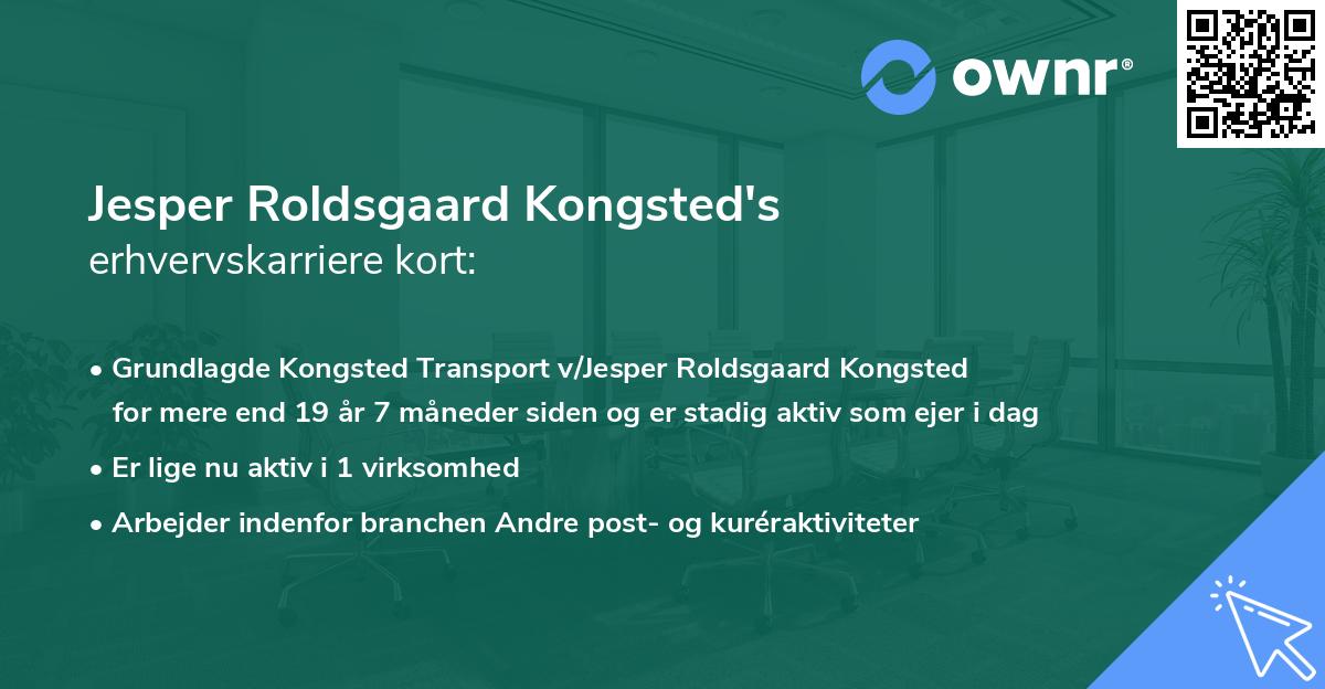Jesper Roldsgaard Kongsted's erhvervskarriere kort