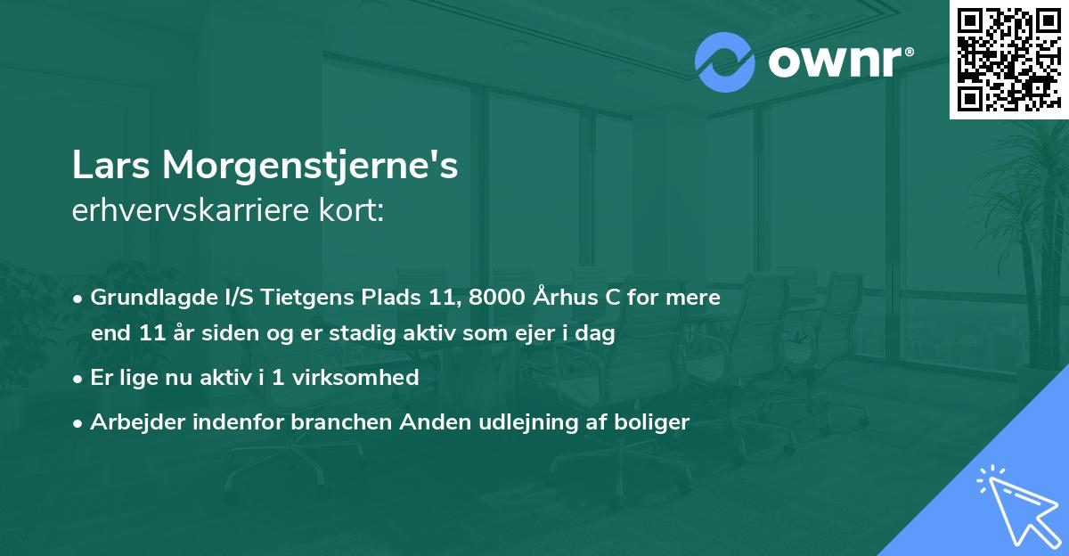 Lars Morgenstjerne's erhvervskarriere kort