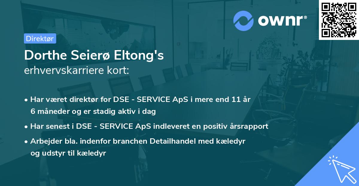Dorthe Seierø Eltong's erhvervskarriere kort