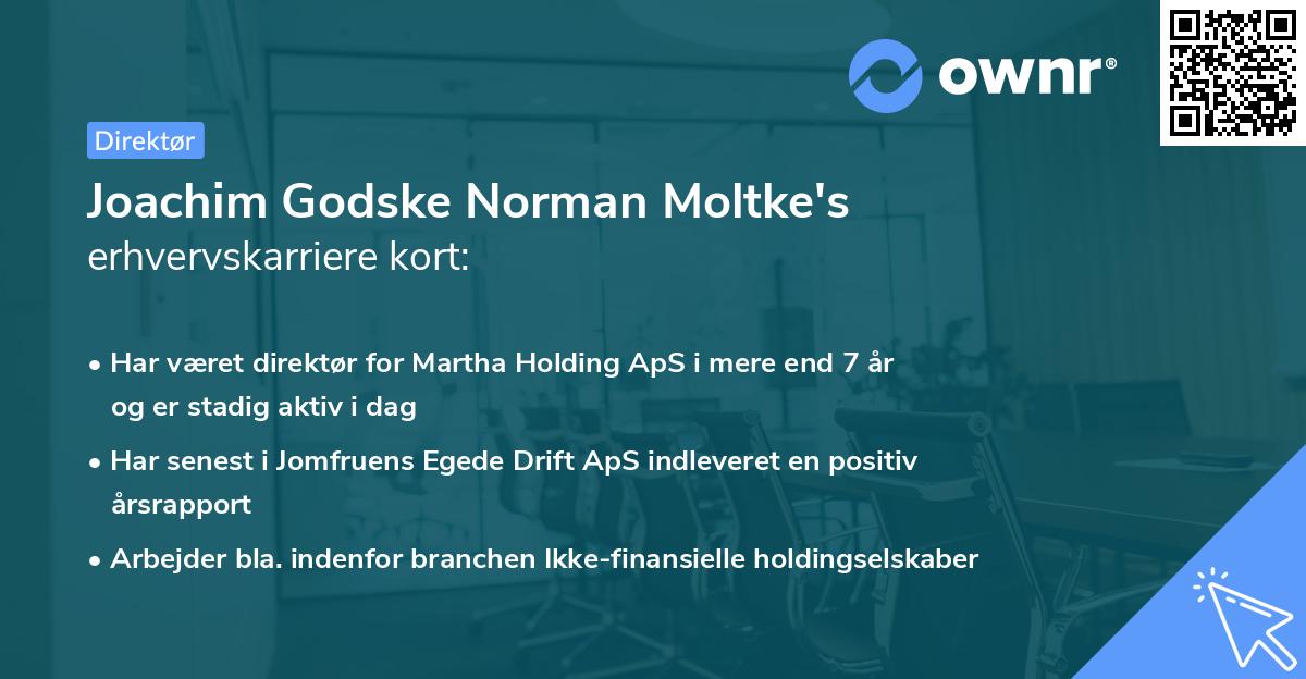 Joachim Godske Norman Moltke's erhvervskarriere kort