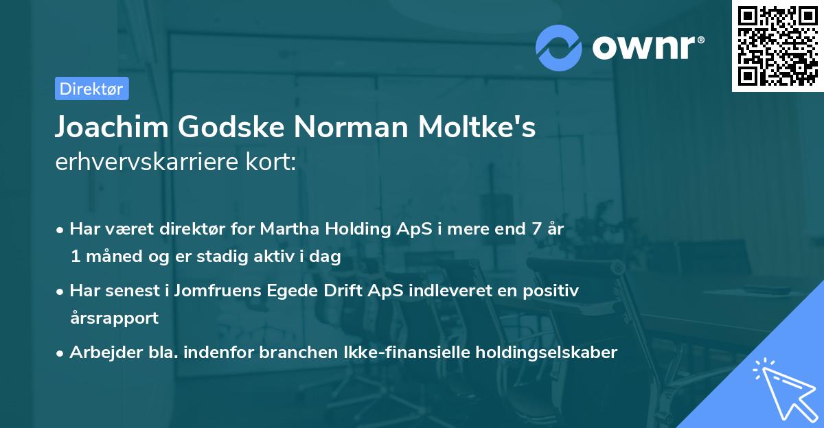 Joachim Godske Norman Moltke's erhvervskarriere kort