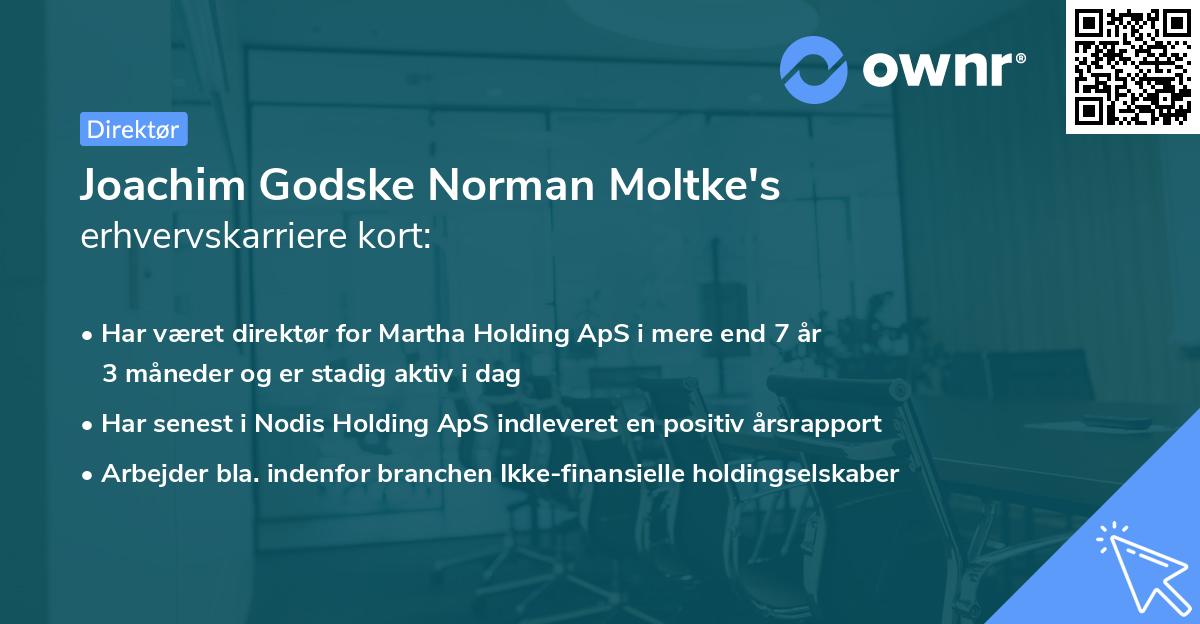 Joachim Godske Norman Moltke's erhvervskarriere kort