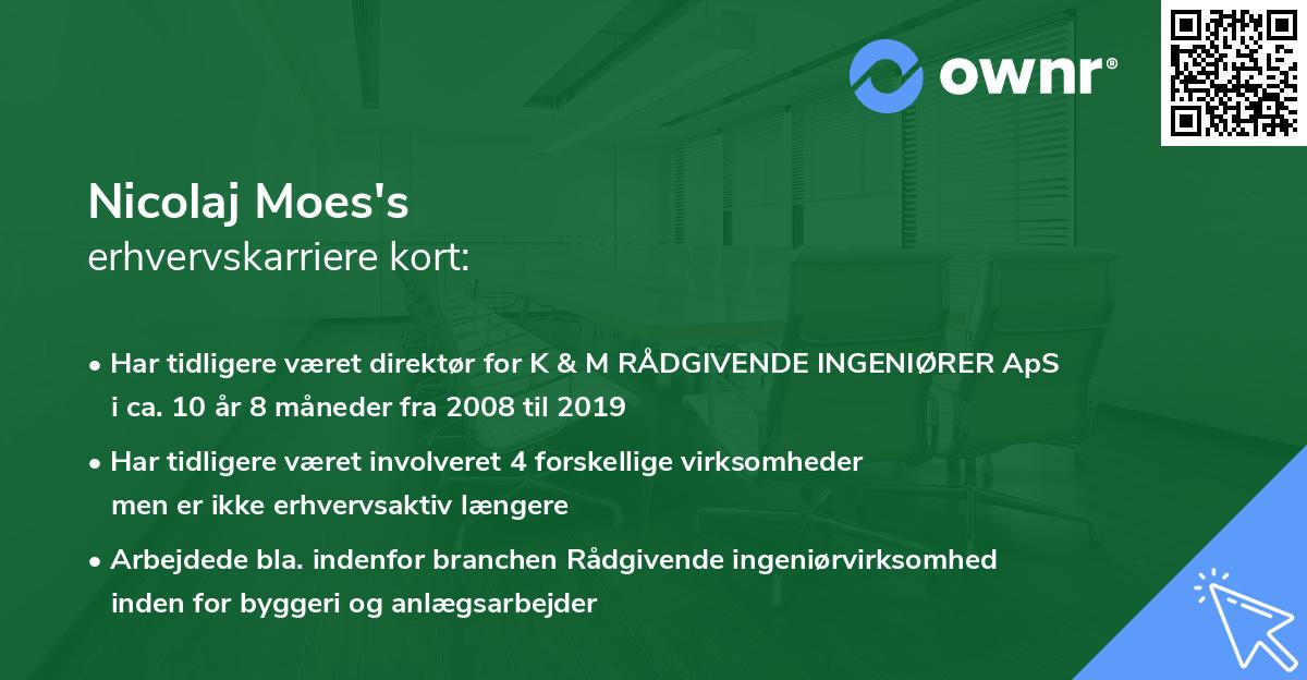 Nicolaj Moes's erhvervskarriere kort