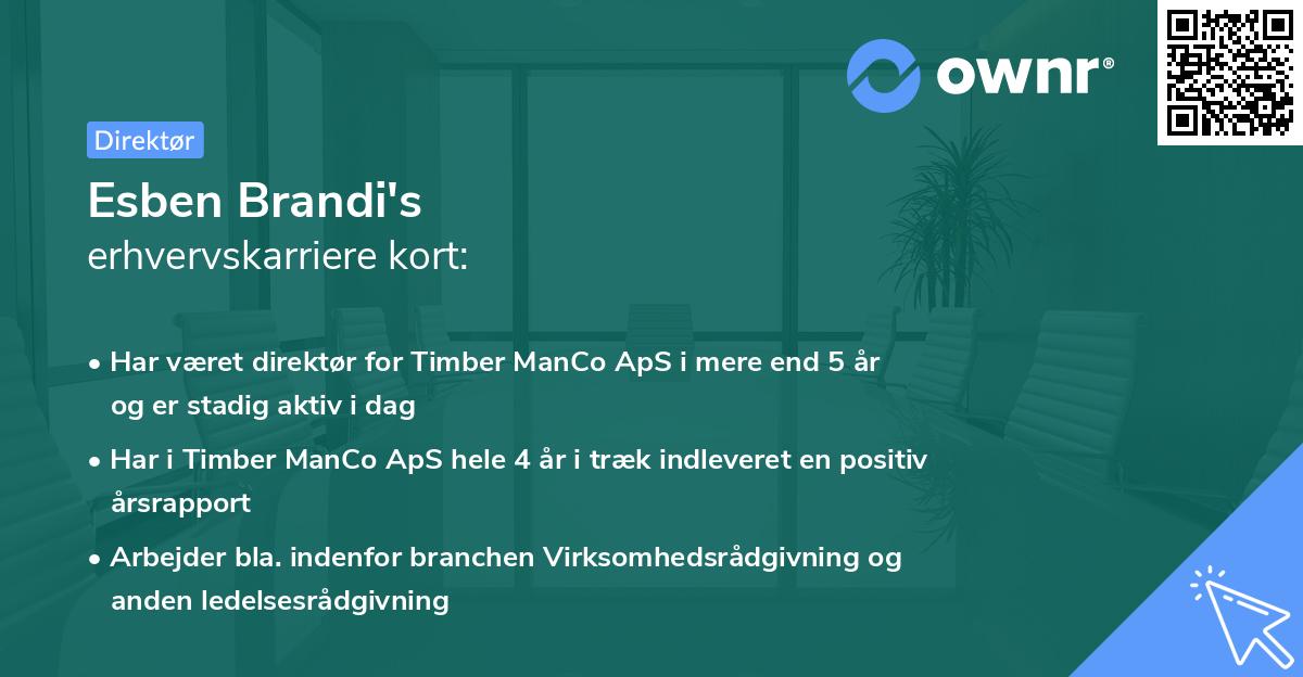 Esben Brandi's erhvervskarriere kort