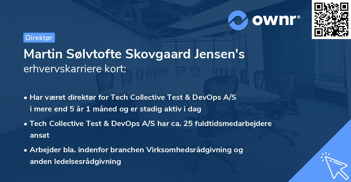 Martin Sølvtofte Skovgaard Jensen's erhvervskarriere kort