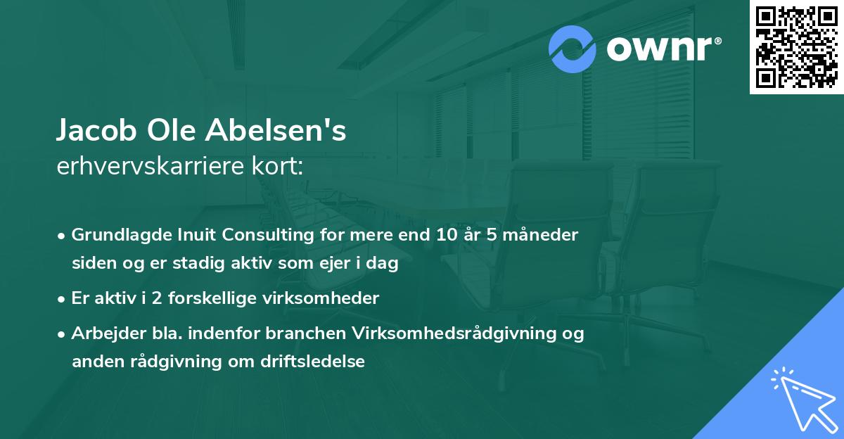 Jacob Ole Abelsen's erhvervskarriere kort