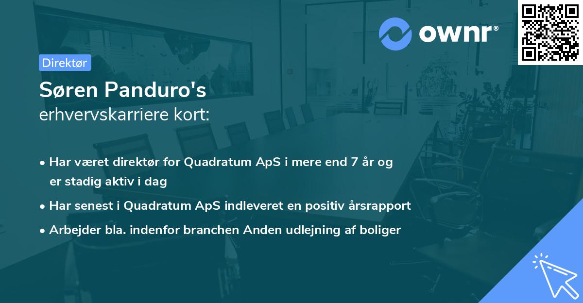 Søren Panduro's erhvervskarriere kort