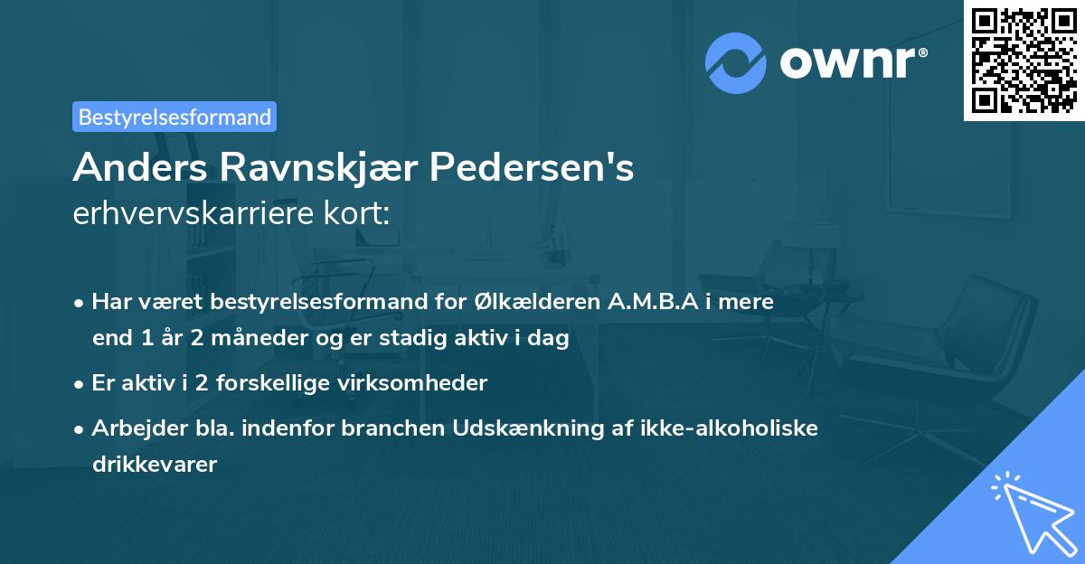 Anders Ravnskjær Pedersen's erhvervskarriere kort