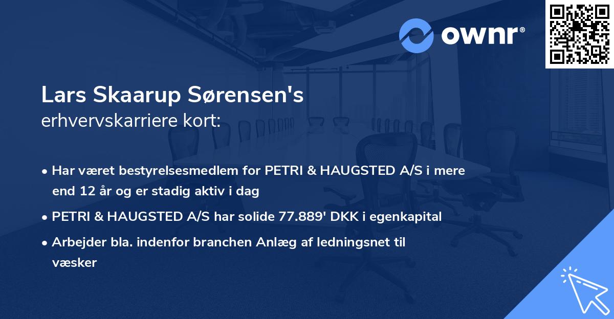 Lars Skaarup Sørensen's erhvervskarriere kort