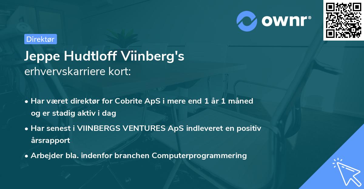Jeppe Hudtloff Viinberg's erhvervskarriere kort
