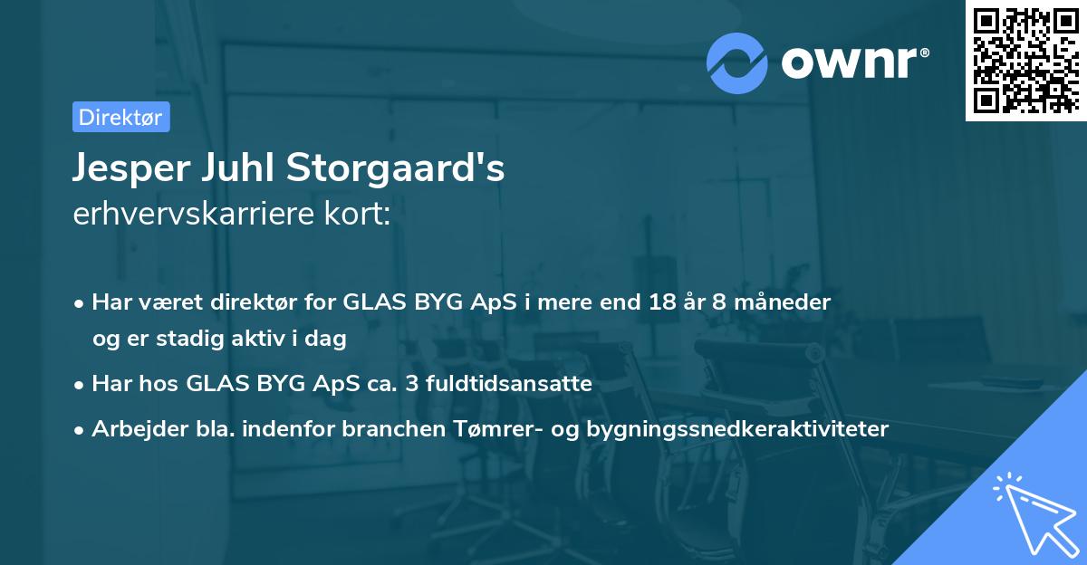Jesper Juhl Storgaard's erhvervskarriere kort