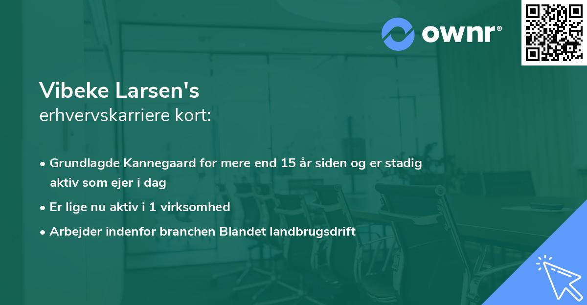 Vibeke Larsen's erhvervskarriere kort