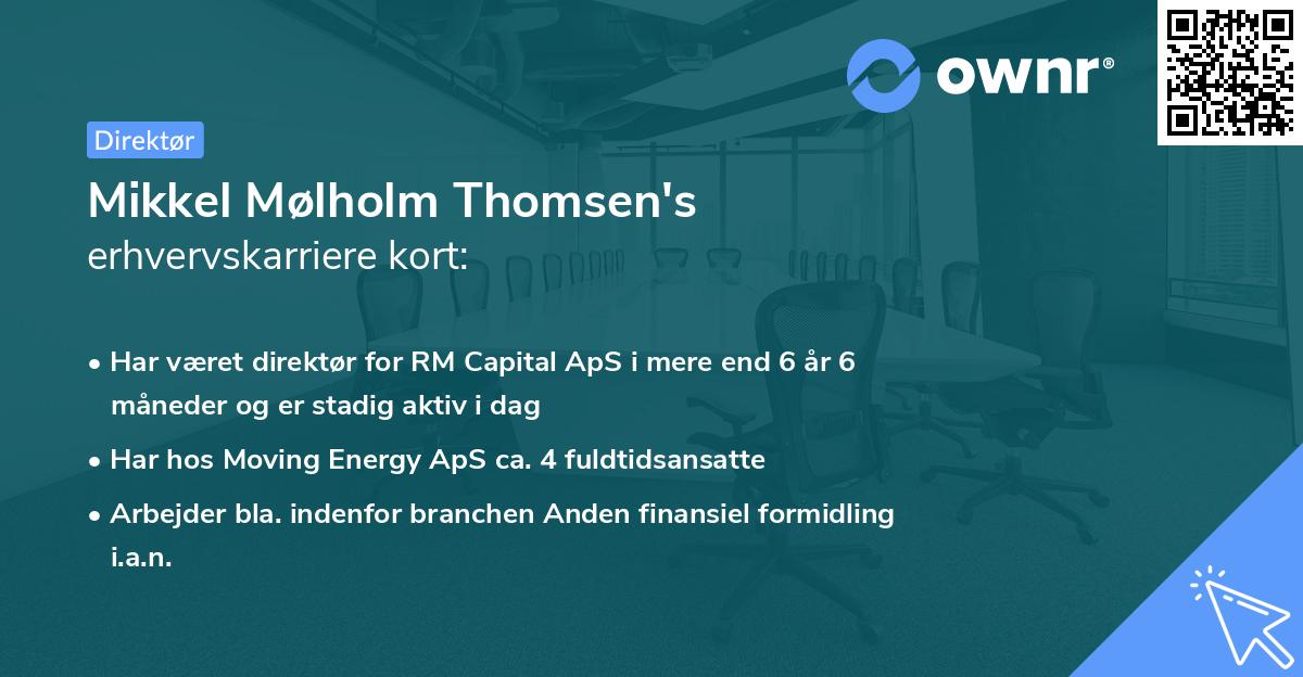 Mikkel Mølholm Thomsen's erhvervskarriere kort