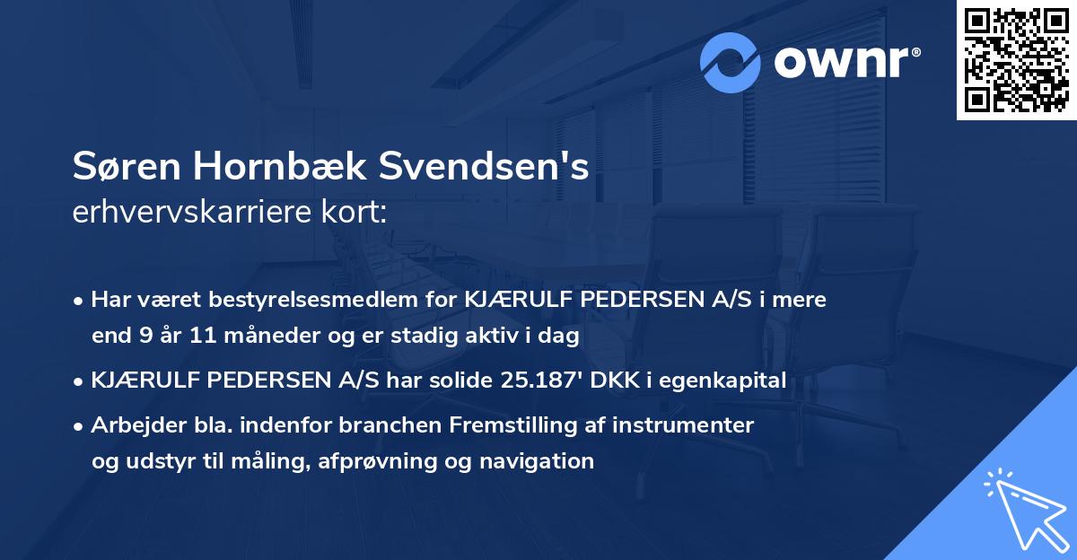 Søren Hornbæk Svendsen's erhvervskarriere kort