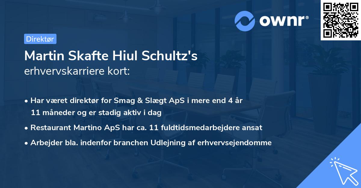 Martin Skafte Hiul Schultz's erhvervskarriere kort