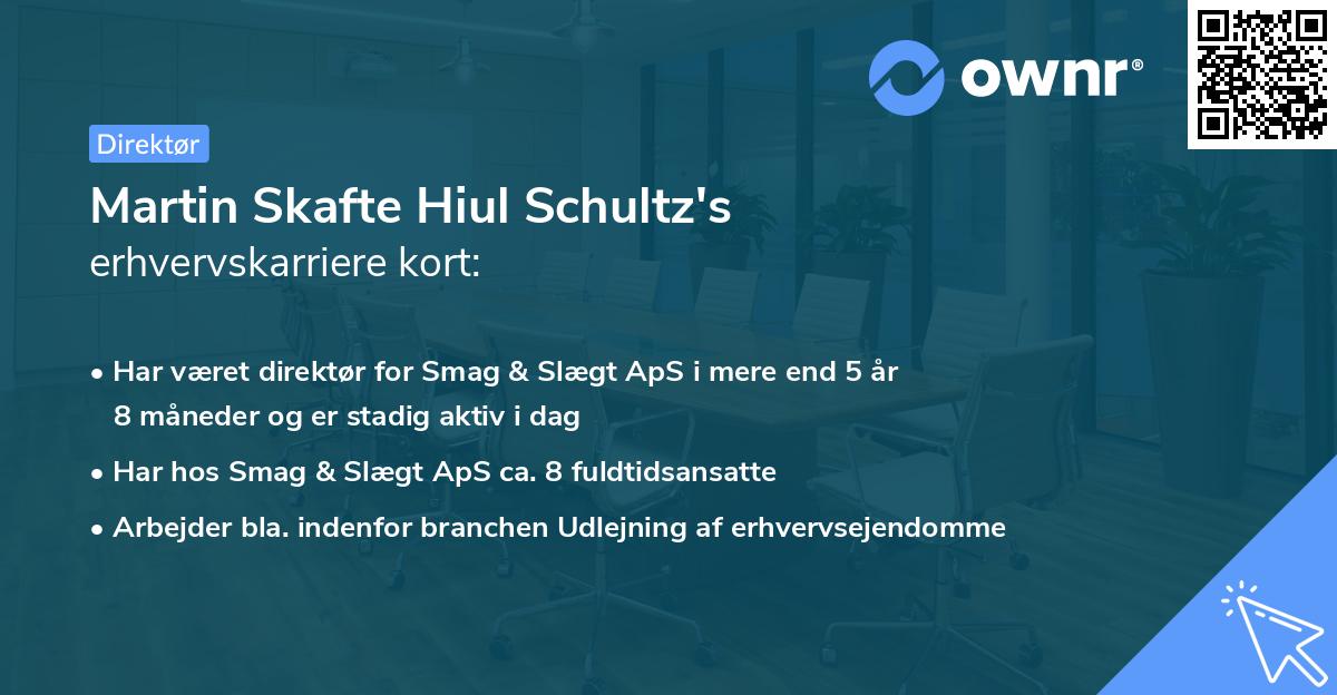 Martin Skafte Hiul Schultz's erhvervskarriere kort