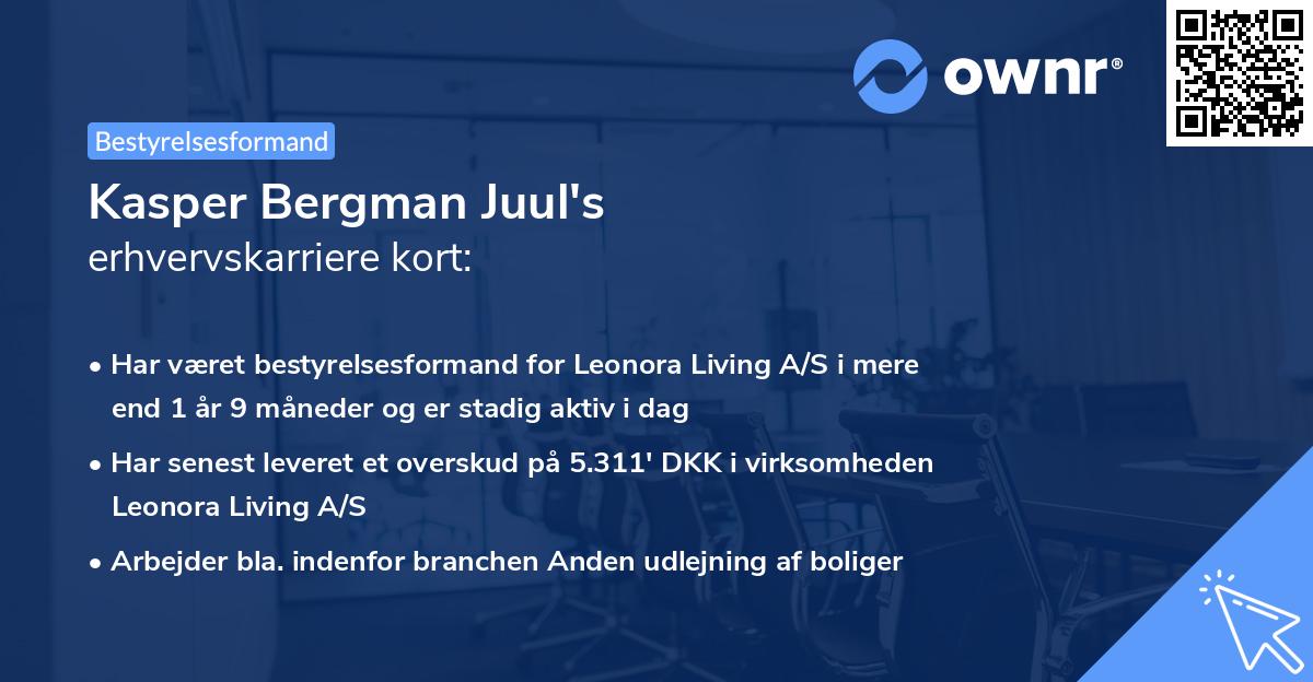 Kasper Bergman Juul's erhvervskarriere kort