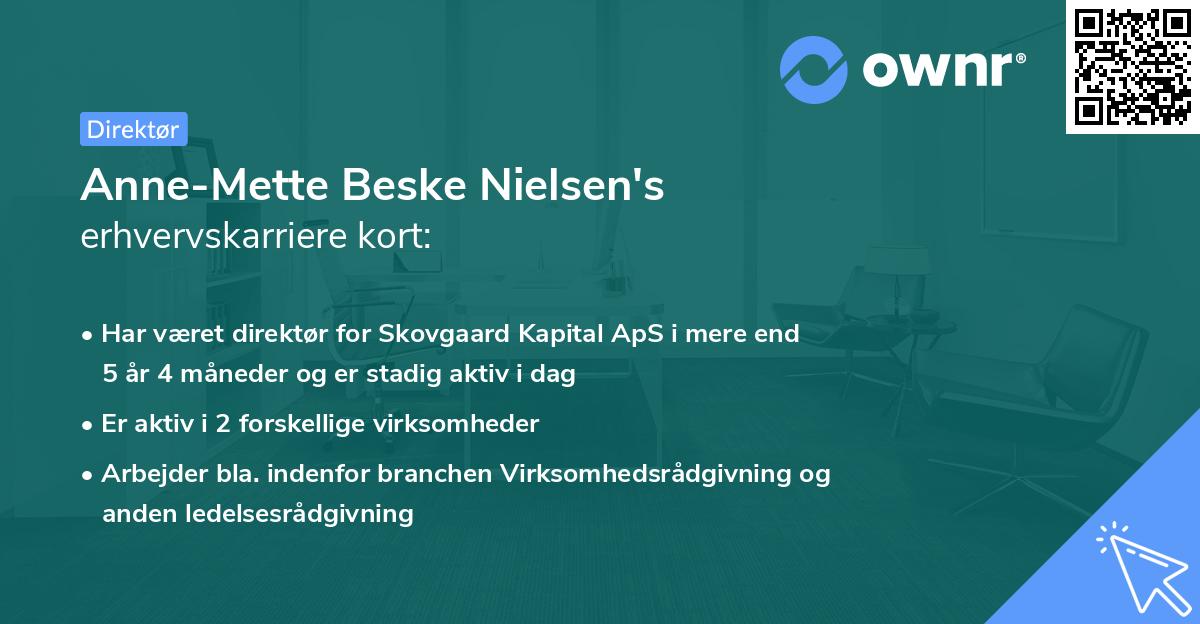 Anne-Mette Beske Nielsen's erhvervskarriere kort