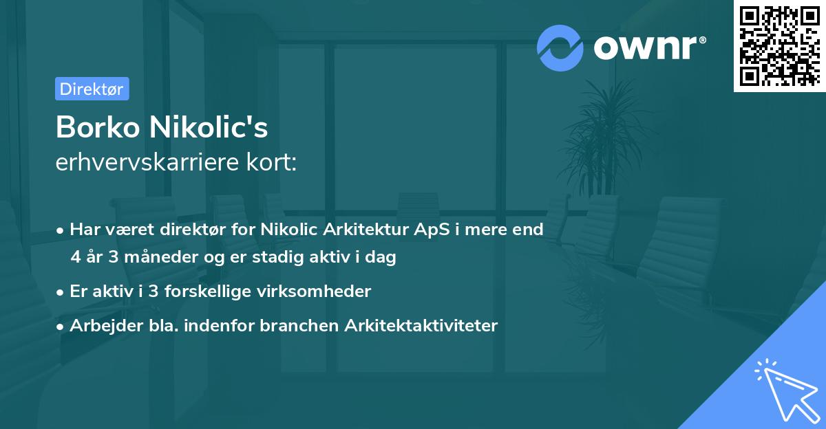 Borko Nikolic's erhvervskarriere kort