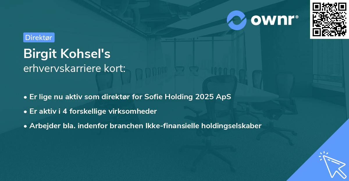 Birgit Kohsel's erhvervskarriere kort