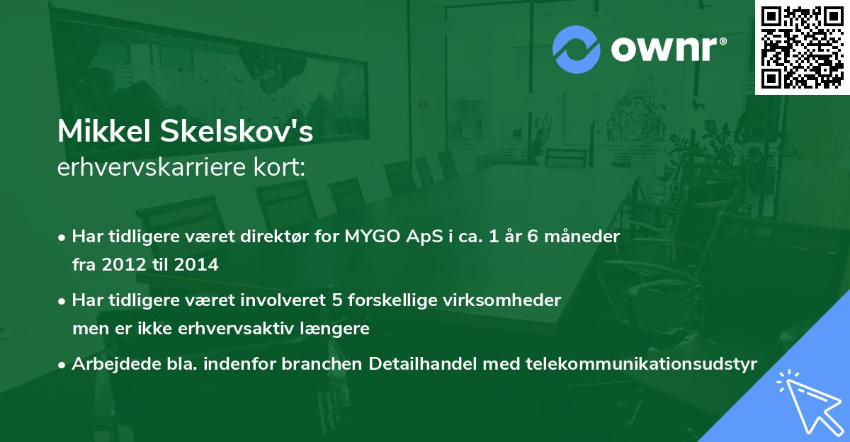 Mikkel Skelskov's erhvervskarriere kort